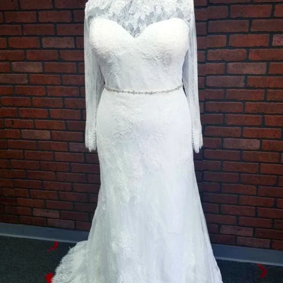 Wedding Gown, Plus Size Dress - Picture 1 of 3